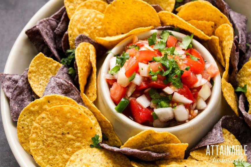 Garden fresh salsa recipe in a yellow bowl with round yellow tortilla chips