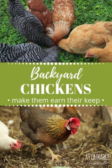View of 9 Ways to Use Chickens in the Garden - Attainable Sustainable
