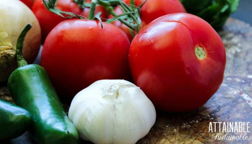 fresh tomatoes, peppers, garlic, and onions