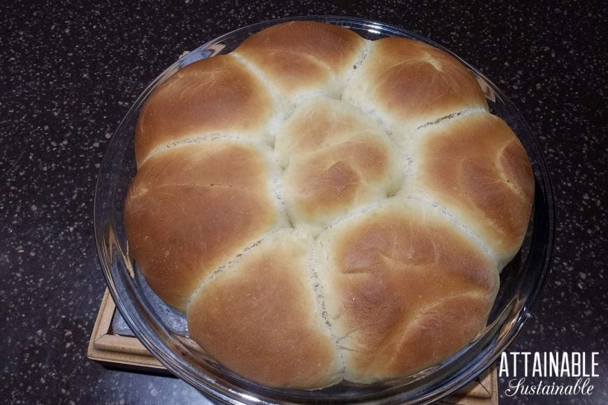 baked portuguese sweet bread rolls