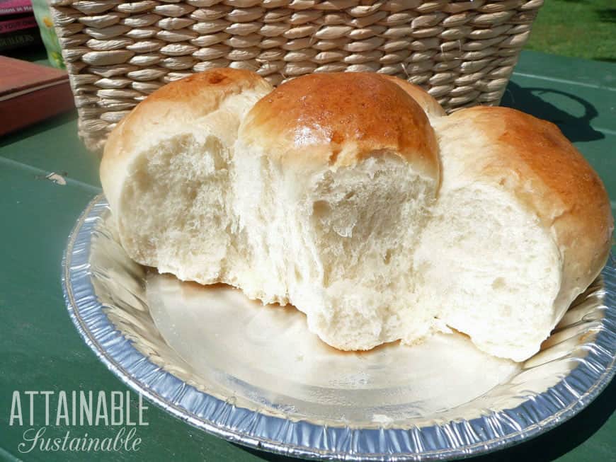 portuguese sweet bread rolls in a pie tin
