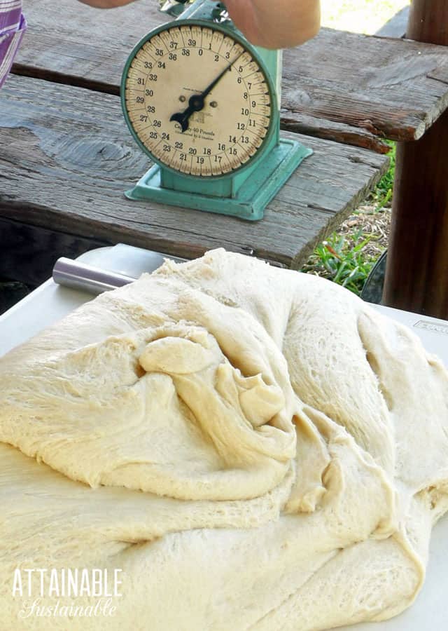 portuguese sweet bread dough on a table with a vintage teal scale behind