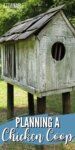 chicken coop raised on four legs