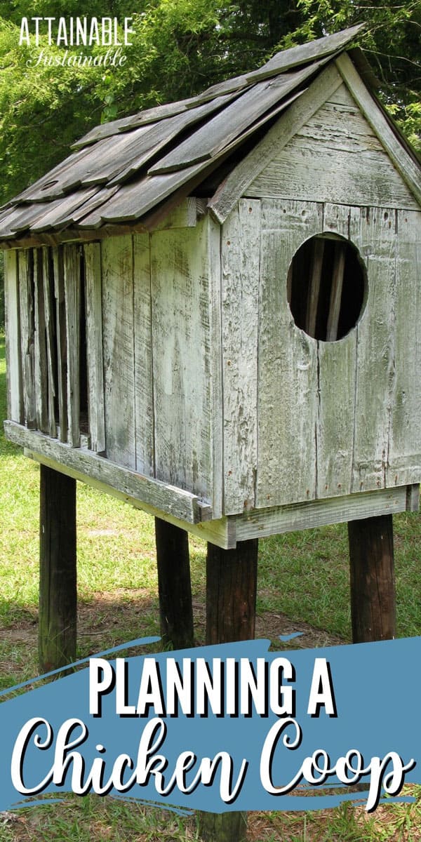 6 Chicken Coop Mistakes I Made (And How To Avoid Them)
