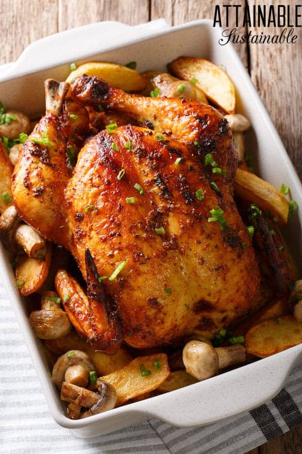 roasted turkey in white baking dish