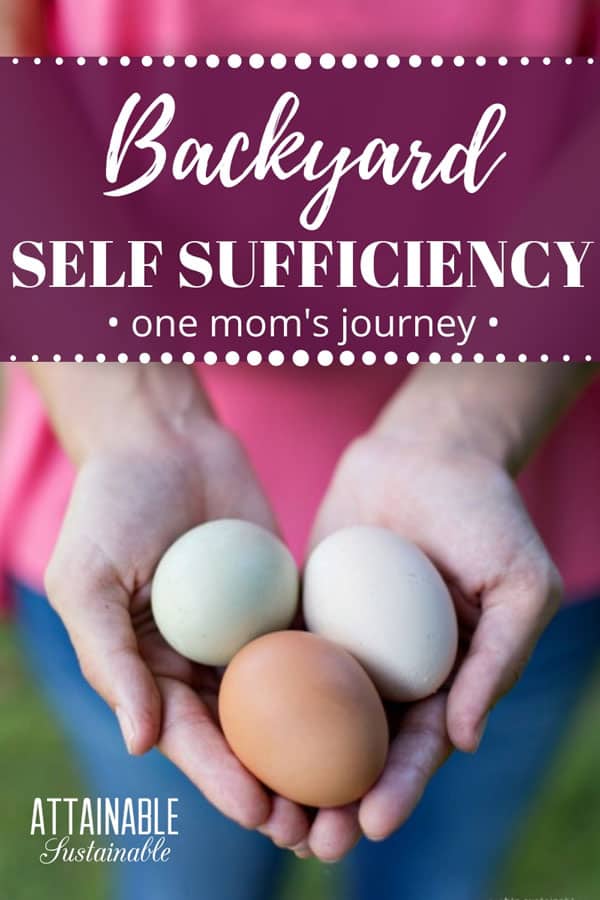 Sometimes it's a meandering path of lessons and learning skills on the way to self-sufficient living. Especially small-scale backyard self-sufficiency. Join one backyard homesteader as she ponders the journey she's taking to self-sufficiency. #homestead #selfsufficient #sustainable