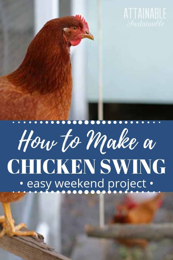 Chicken Swing How to Make an Inexpensive Swing for Chickens