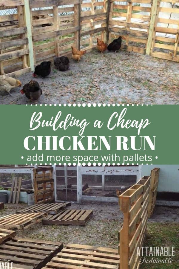 Pallet Chicken Run DIY Pallet Fence Extension for the Flock (With Pics)