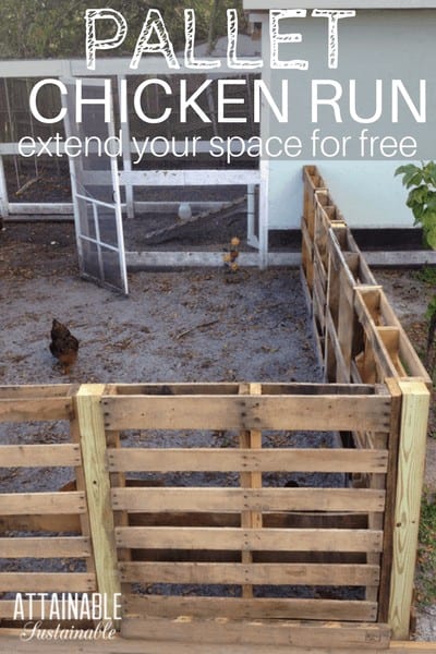 Building a chicken run from recycled pallets is a great way to create an inexpensive fence. Your hens will have more space to roam. They'll be so happy.