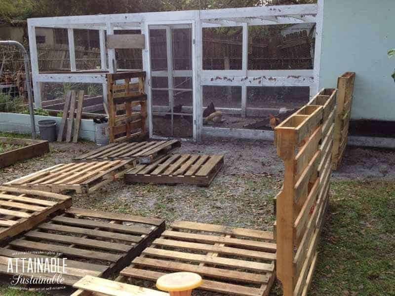 Pallet Chicken Run: DIY Pallet Fence Extension for the 