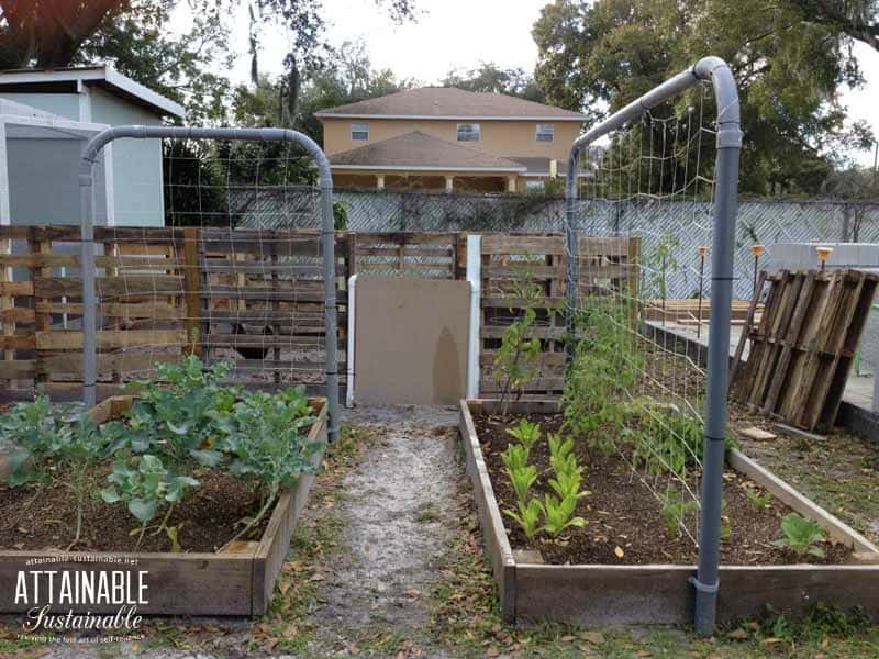 Pallet Project: Build a Cheap Chicken Run - Attainable 