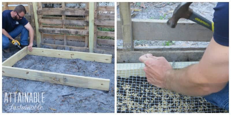 man building a grazing box, using a hammer