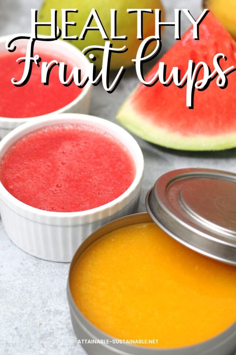 Homemade Jello Cups Made from Fresh Fruit Attainable Sustainable