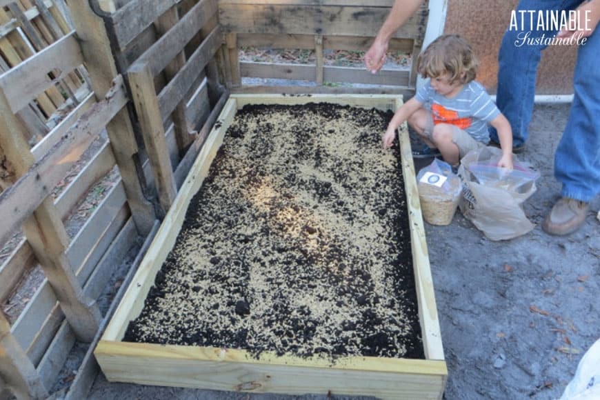 toddler planting seeds in grazing boxes