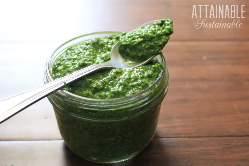 radish greens pesto in a glass jar