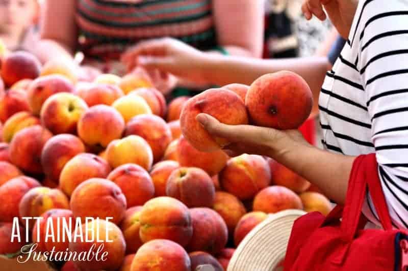 woman choosing peaches from a large pile