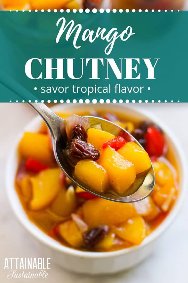 Mango Chutney Recipe Add Tropical Flavor to Your Next Meal