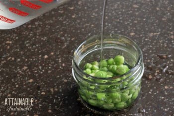 pouring brine into a glass jar filled with nasturtium seeds