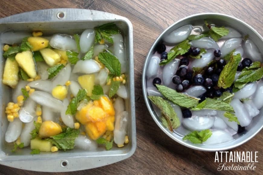 fruit and ice in cake pans