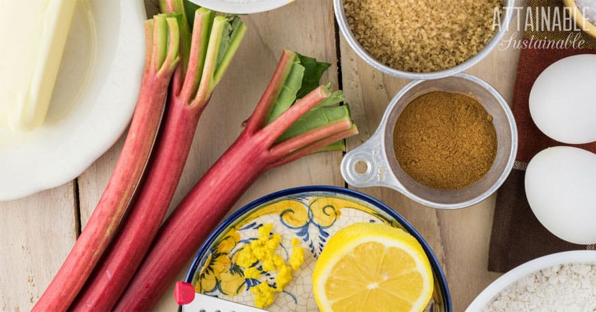 rhubarb coffee cake ingredients