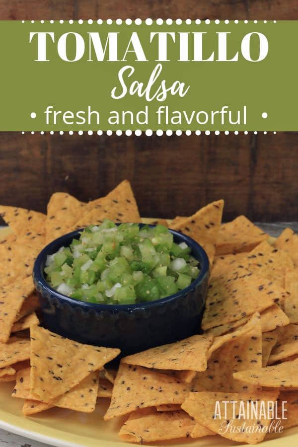 tomatillo salsa verde in a blue bowl surrounded by tortilla chips