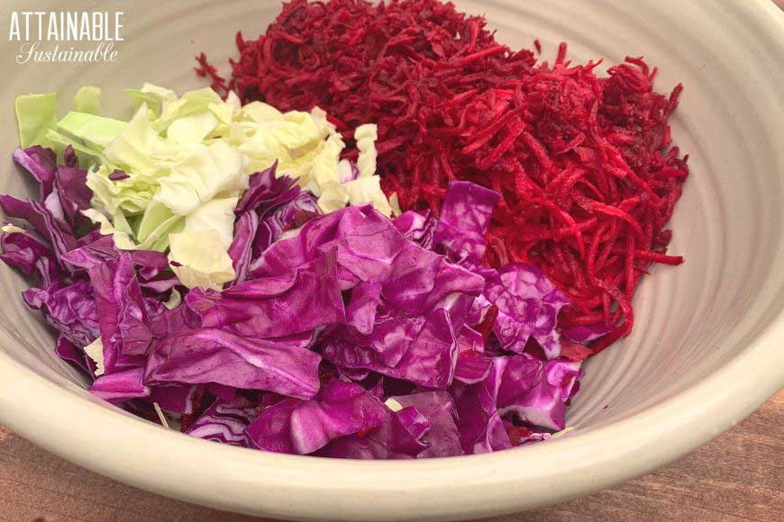 cabbage and beets in a large bowl.