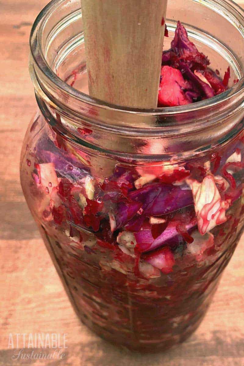 pressing kraut into jar