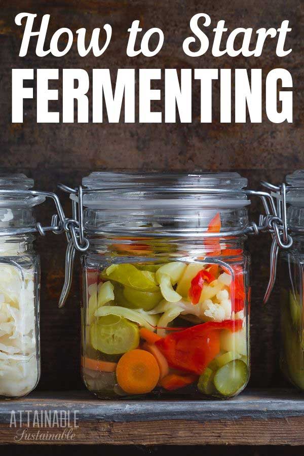 fermented veggies in glass jars