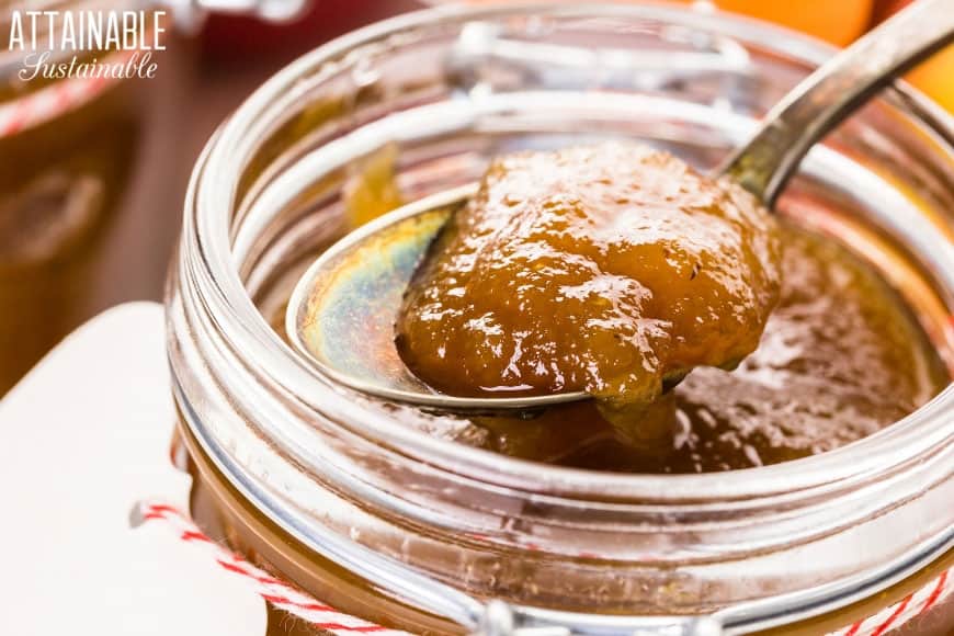 apple butter on a spoon, with glass jar behind