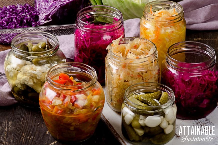 variety of fermented foods recipes on display in glass jars