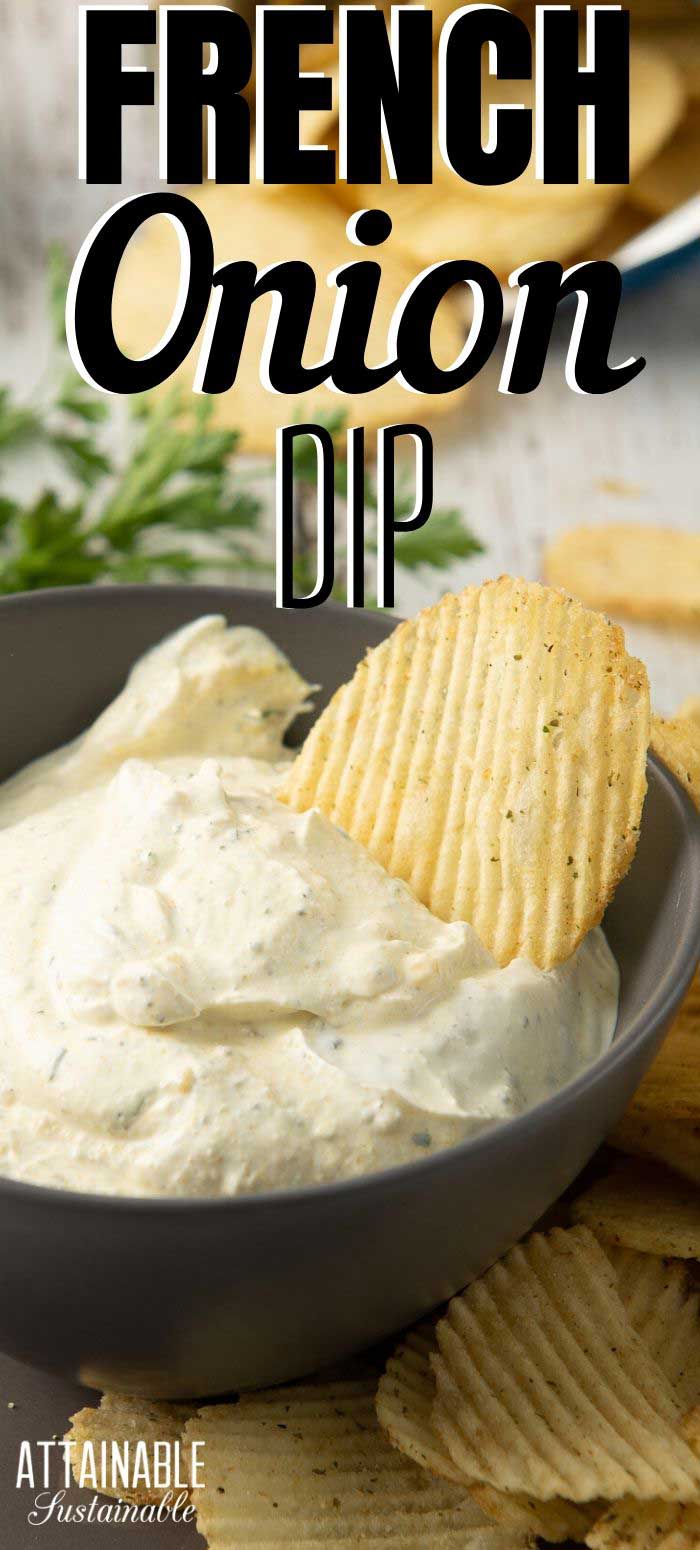 French Onion Dip Recipe Mix Up Your Own for Healthier Snacking