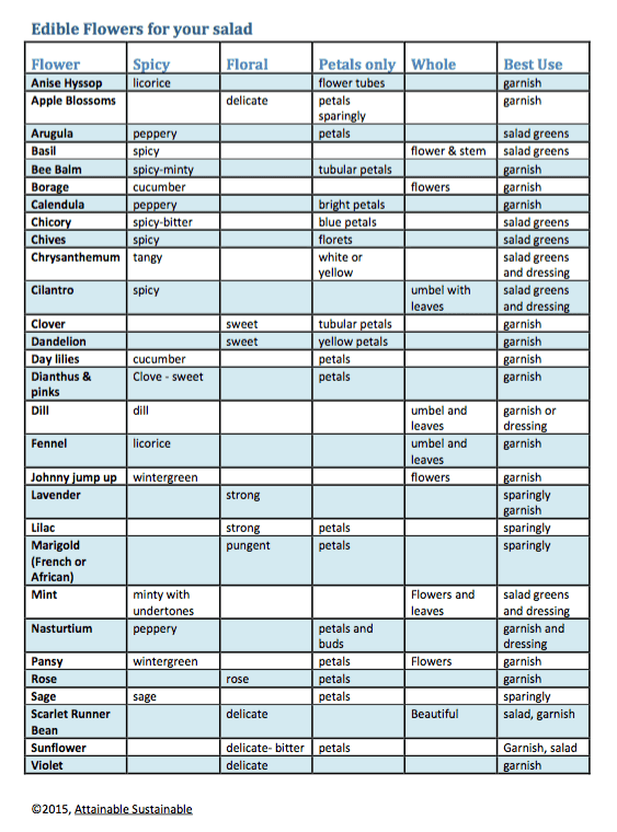 list of flowers you can eat and how to use them