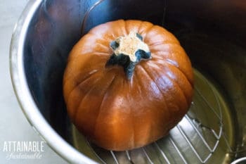 whole pumpkin in an Instant Pot from above