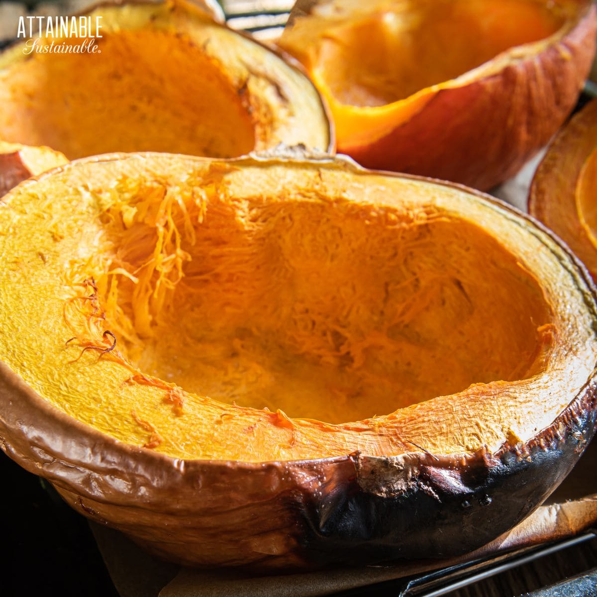 roasted pumpkin halves, cut side up.