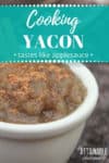 yacon applesauce recipe in a white bowl with cinnamon
