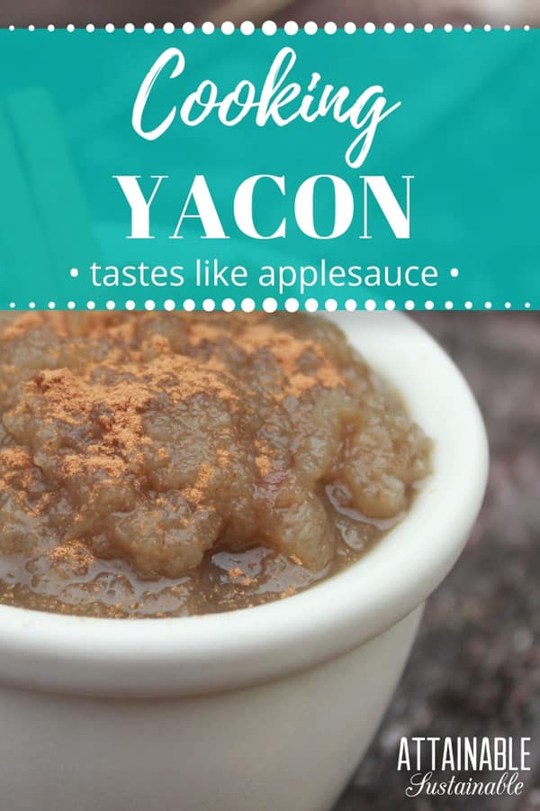 How to Cook Yacon Mock "Applesauce" Recipe