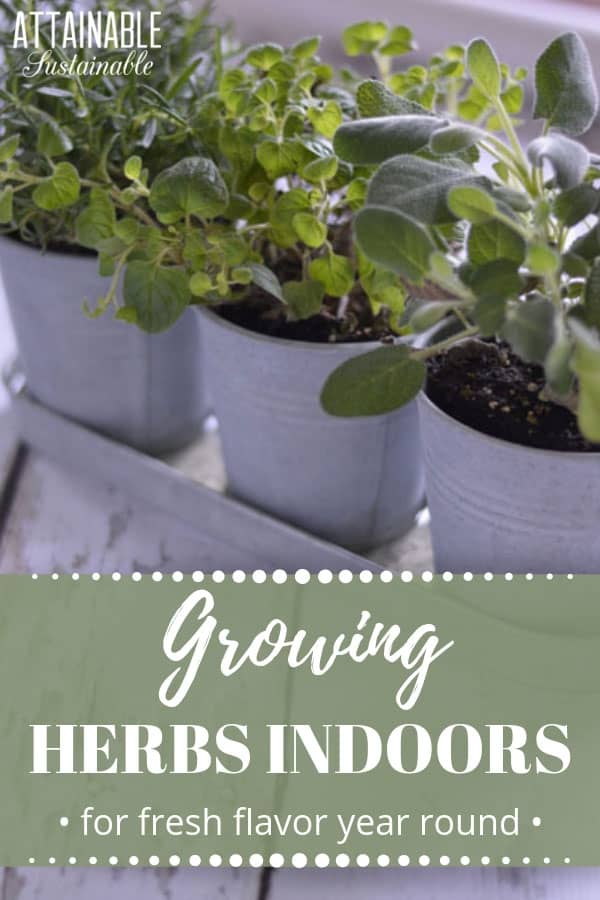 An indoor herb garden makes fresh flavor convenient throughout the winter; it's also a good option year round for apartment or condo dwellers. Here's more on choosing the right herbs for your indoor herb garden and how to care for herbs indoors so that they'll thrive on your kitchen windowsill. #herbs #garden #cooking
