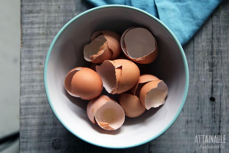 brown eggshells in a teal bowl