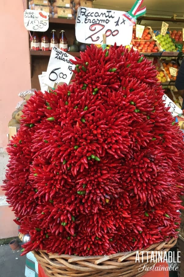 stack of red hot peppers in italy