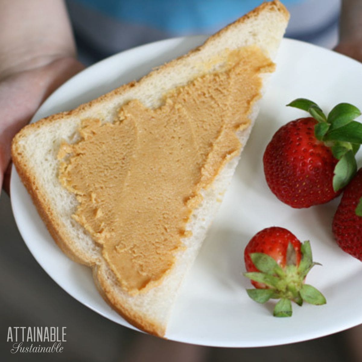 homemade peanut butter on a slice of bread with strawberries on a white plate.