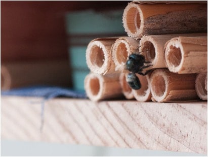 bee housing -- round hollow tubes