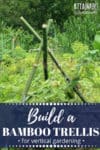 bamboo trellis in a lush green garden