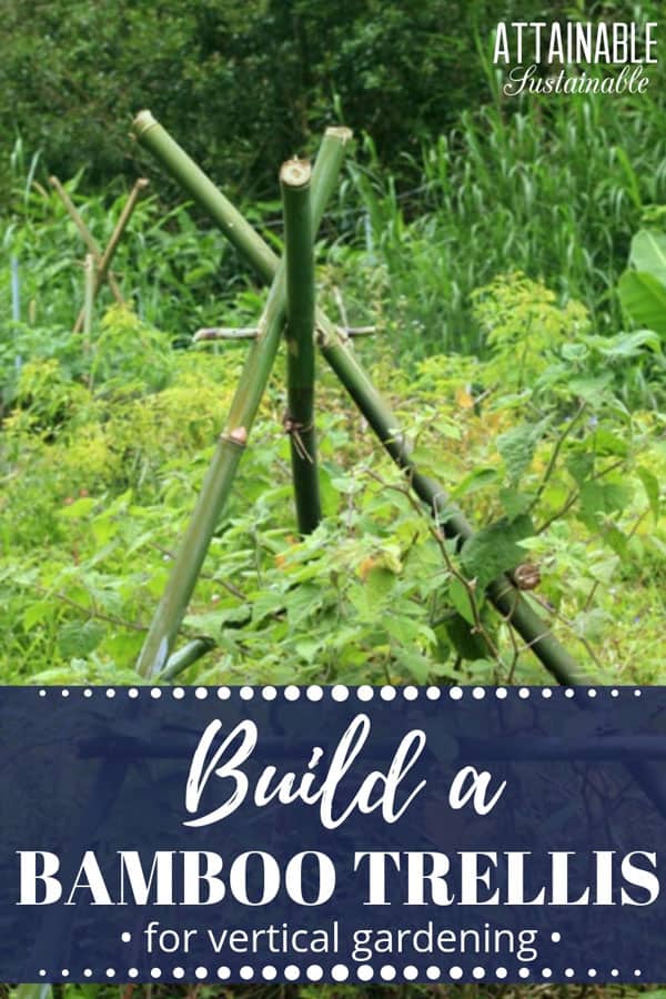 bamboo trellis in a lush, green garden