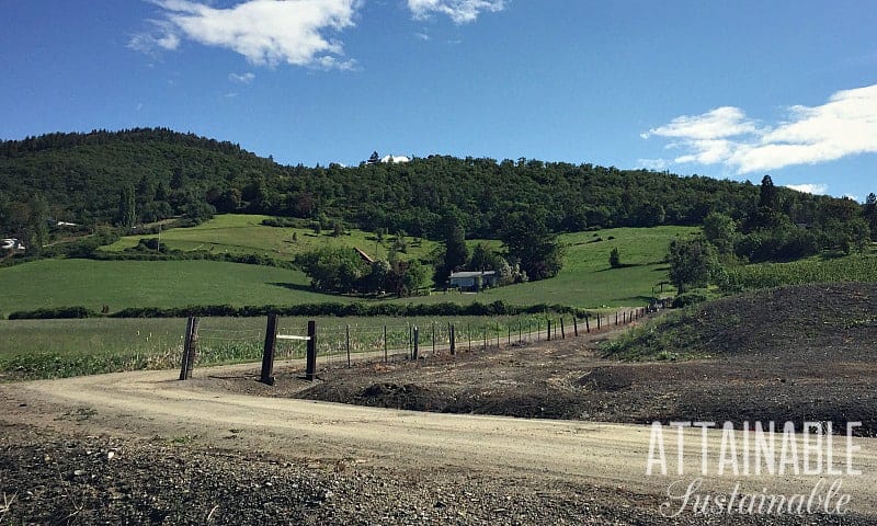 Pretty green hillside with a dirt driveway leading uphill