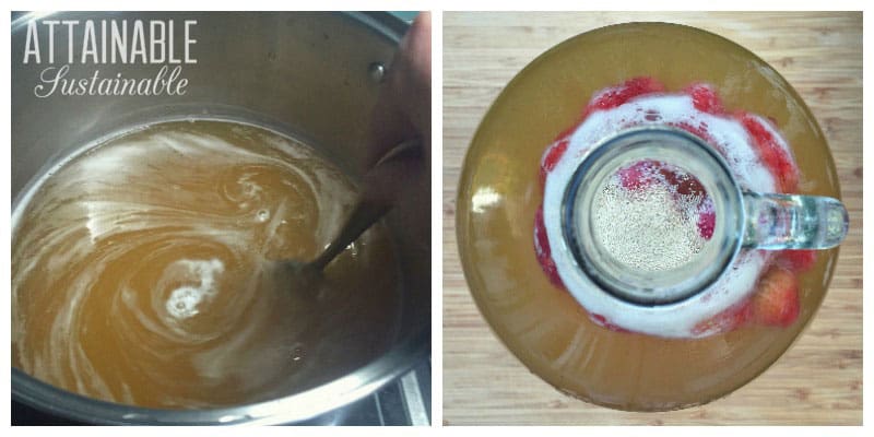 strawberry mead recipe 1 gallon