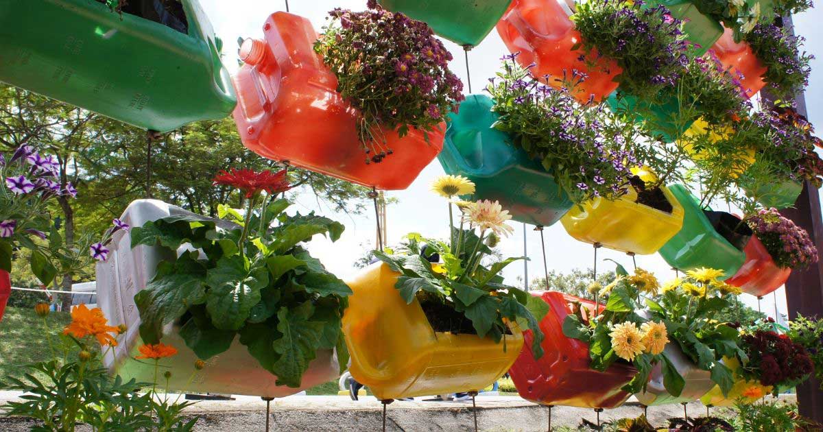 colorful bottles hanging in a line with plants growing inside