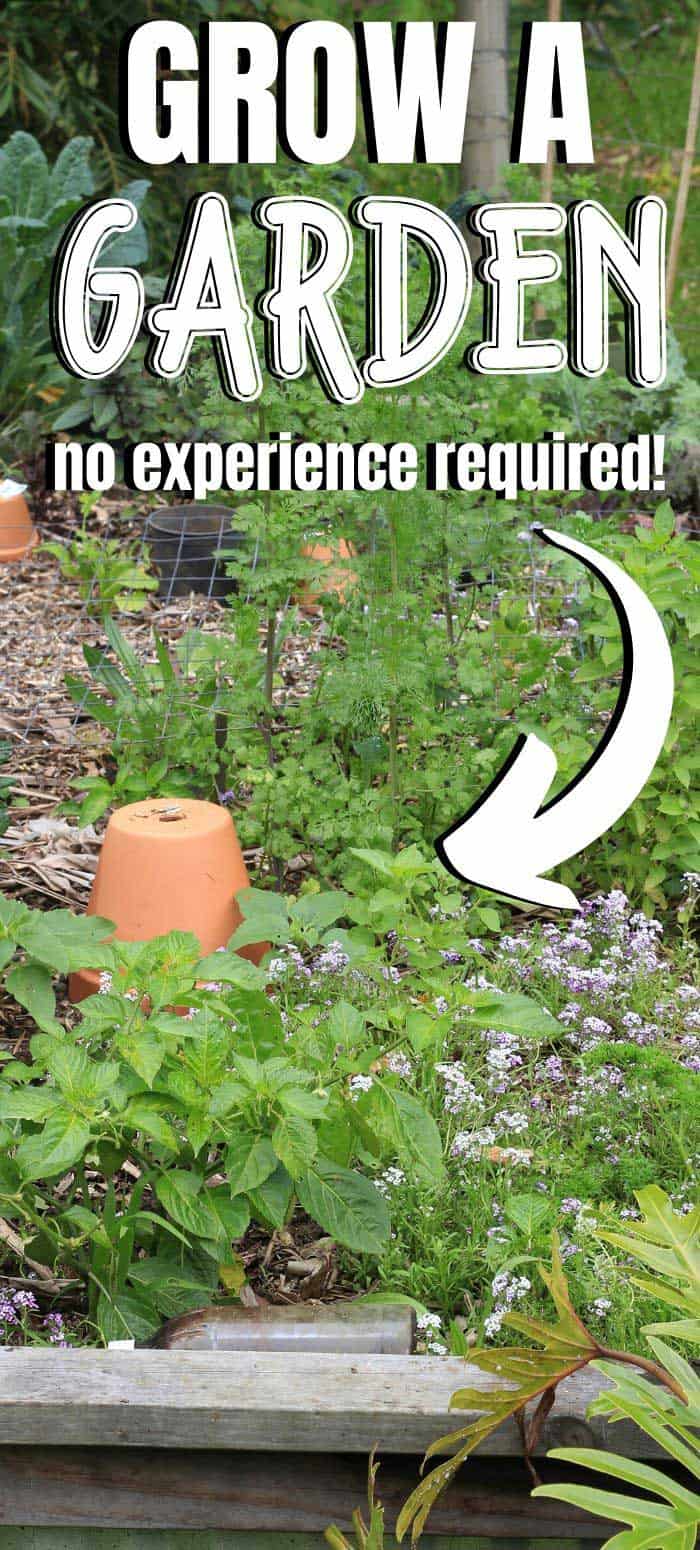Plant Your Own Garden How to Start a Vegetable Garden