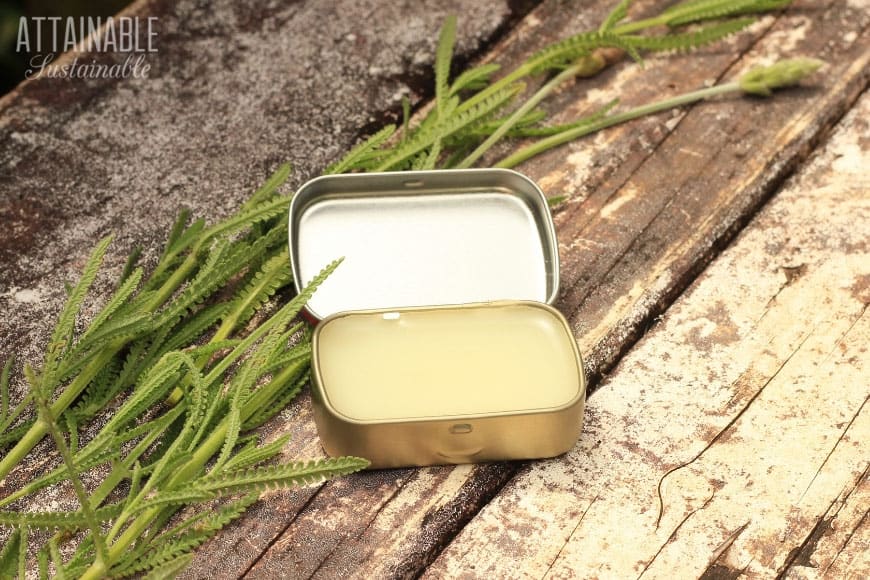 small tin, open, showing natural bug bite relief cream