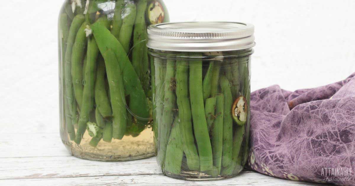 refrigerator pickled green beans in 2 jars with purple linen