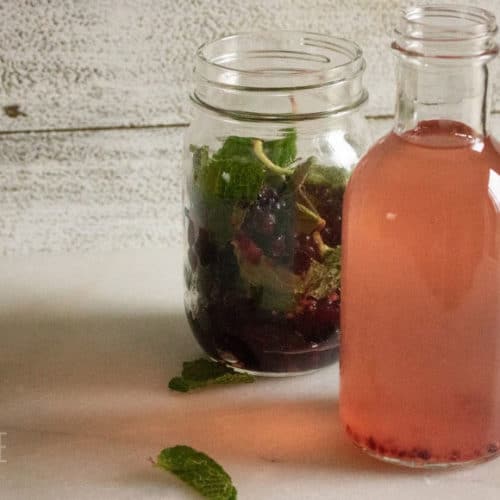 Flavored Vinegar How to Make Gourmet Infused Vinegar